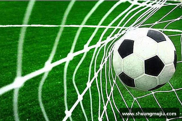 关于365(vip)英国上市官网